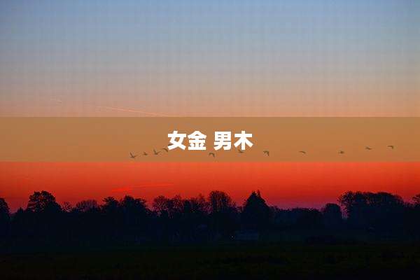 女金 男木