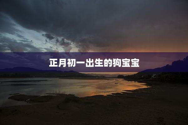 正月初一出生的狗宝宝