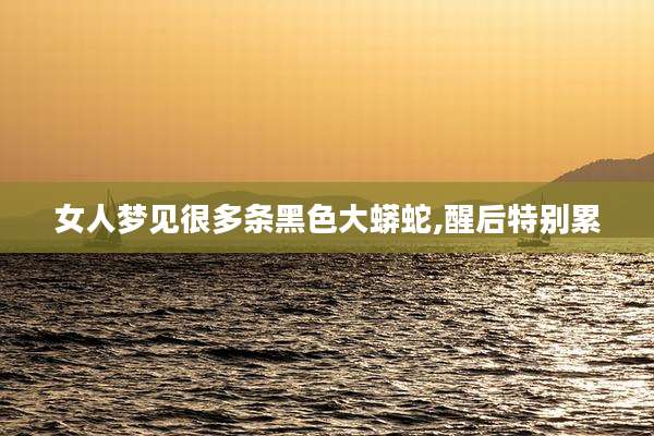女人梦见很多条黑色大蟒蛇,醒后特别累