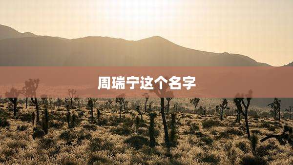 周瑞宁这个名字