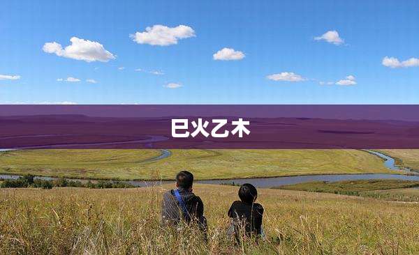 巳火乙木