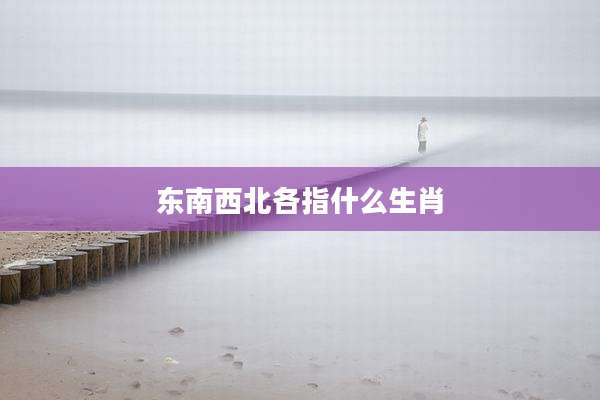 东南西北各指什么生肖