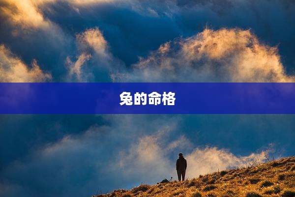兔的命格