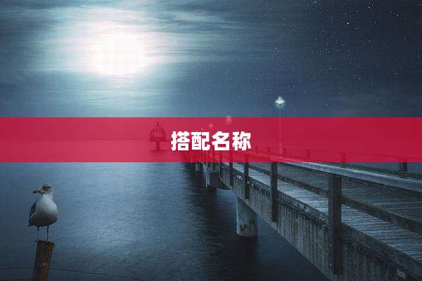 搭配名称