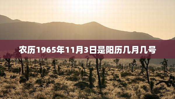 农历1965年11月3日是阳历几月几号