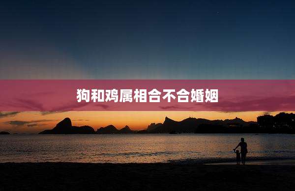 狗和鸡属相合不合婚姻