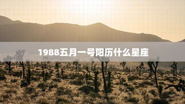 1988五月一号阳历什么星座
