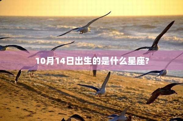 10月14日出生的是什么星座?