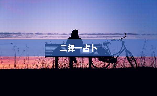 二择一占卜