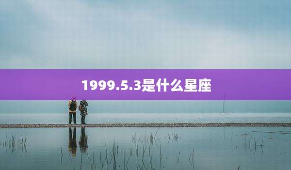 1999.5.3是什么星座