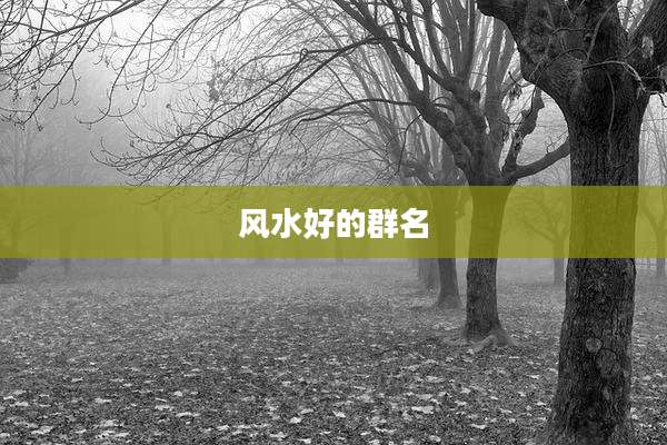 风水好的群名