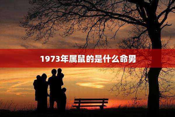 1973年属鼠的是什么命男