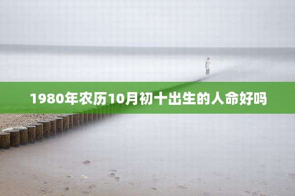 1980年农历10月初十出生的人命好吗