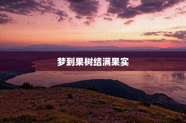 梦到果树结满果实