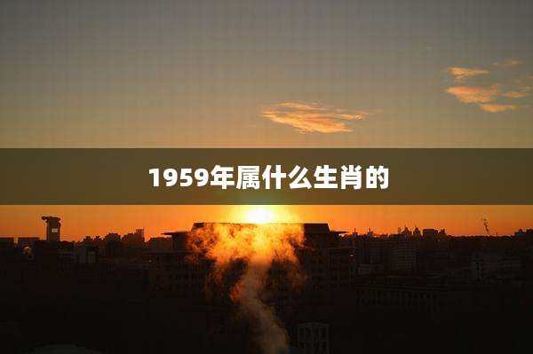1959年属什么生肖的