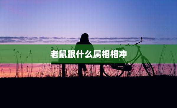 老鼠跟什么属相相冲