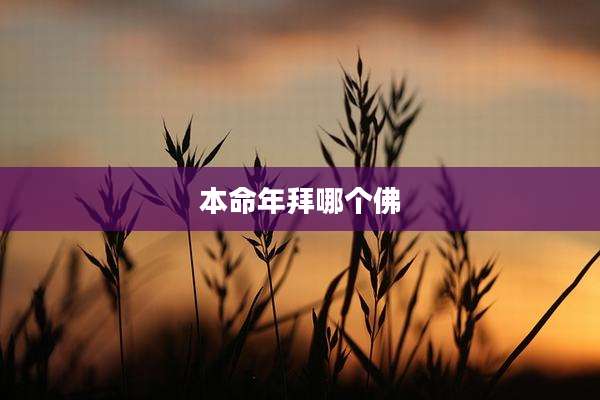 本命年拜哪个佛