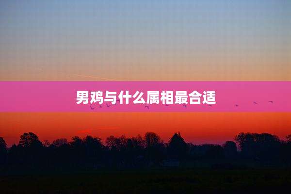 男鸡与什么属相最合适