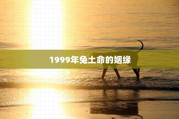 1999年兔土命的姻缘