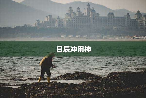 日辰冲用神