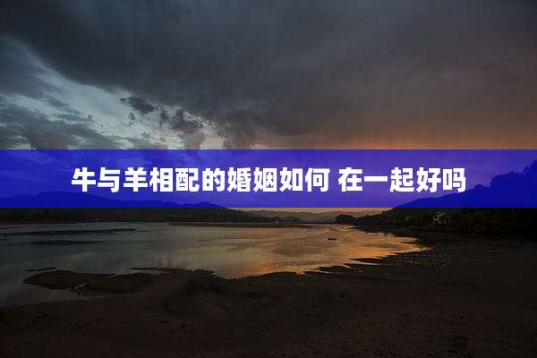 牛与羊相配的婚姻如何 在一起好吗
