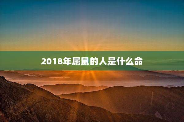 2018年属鼠的人是什么命