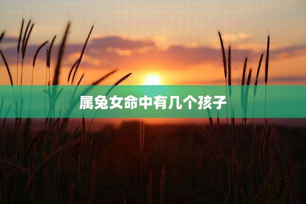 属兔女命中有几个孩子