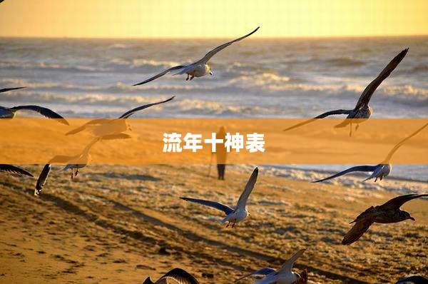 流年十神表