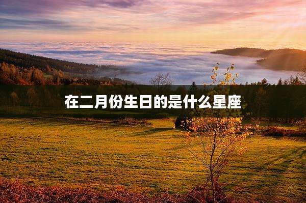在二月份生日的是什么星座