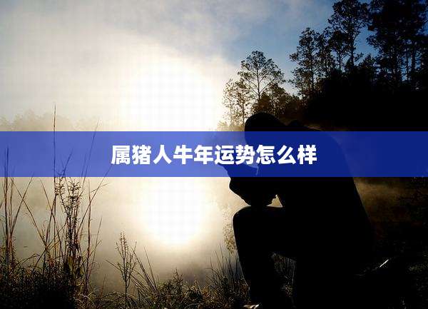 属猪人牛年运势怎么样