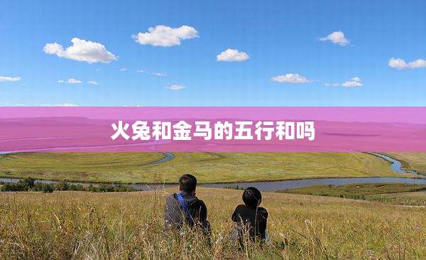 火兔和金马的五行和吗