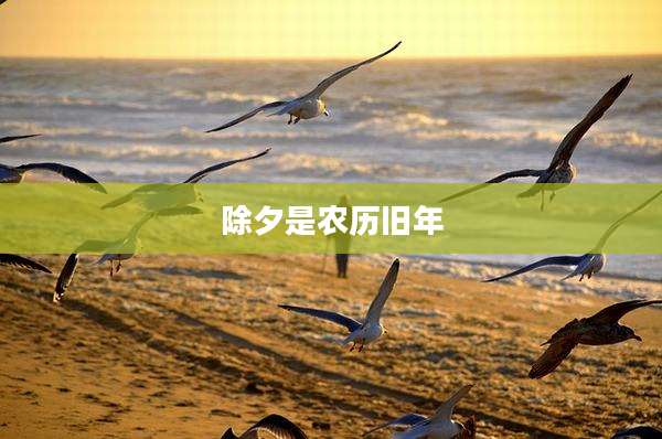 除夕是农历旧年