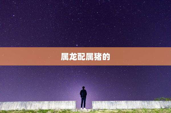 属龙配属猪的