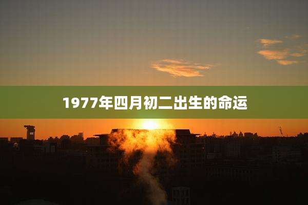 1977年四月初二出生的命运