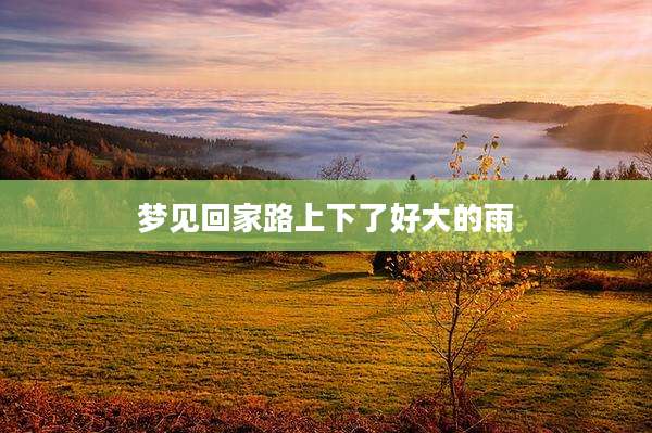 梦见回家路上下了好大的雨