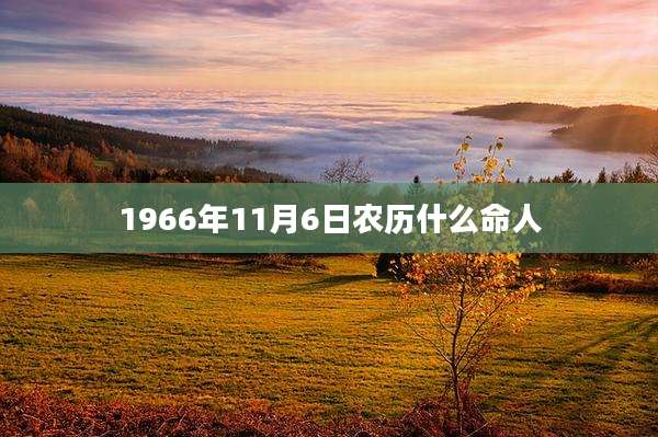 1966年11月6日农历什么命人