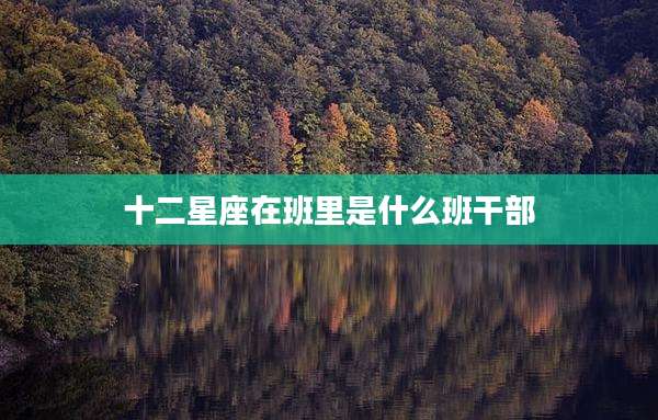 十二星座在班里是什么班干部