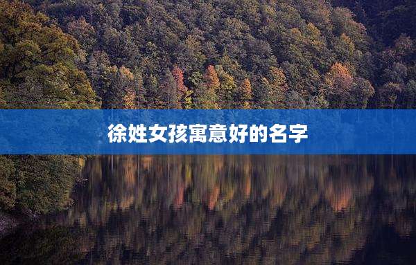 徐姓女孩寓意好的名字