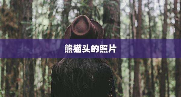熊猫头的照片