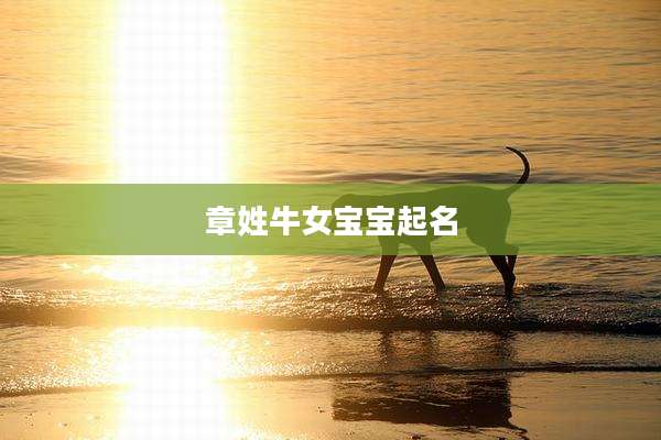 章姓牛女宝宝起名