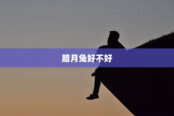 腊月兔好不好