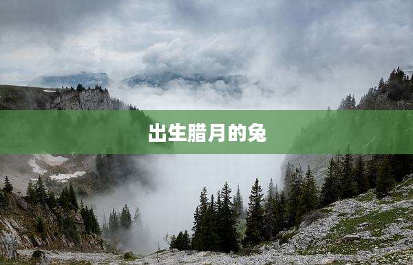 出生腊月的兔