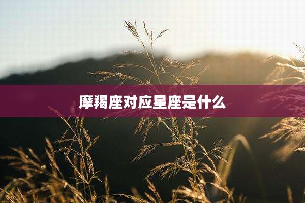摩羯座对应星座是什么