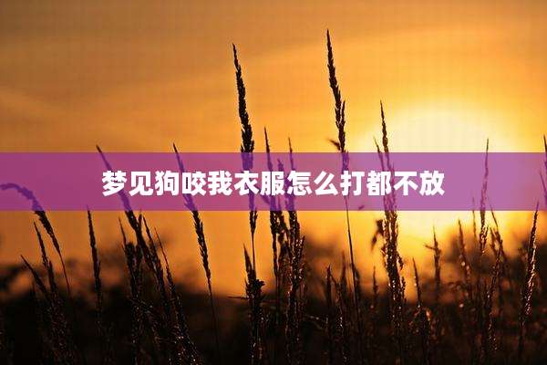 梦见狗咬我衣服怎么打都不放