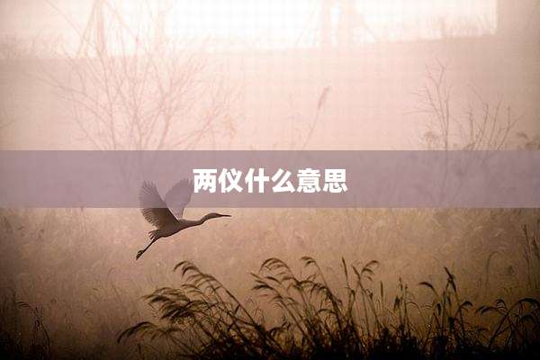 两仪什么意思
