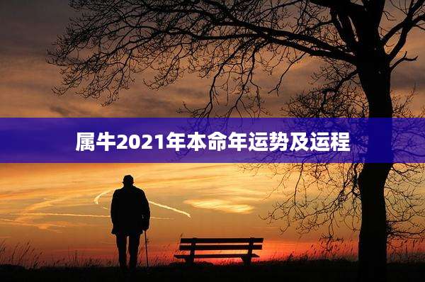 属牛2021年本命年运势及运程