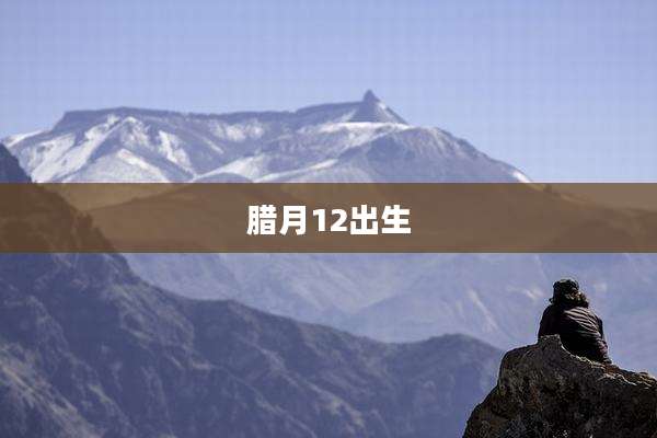 腊月12出生