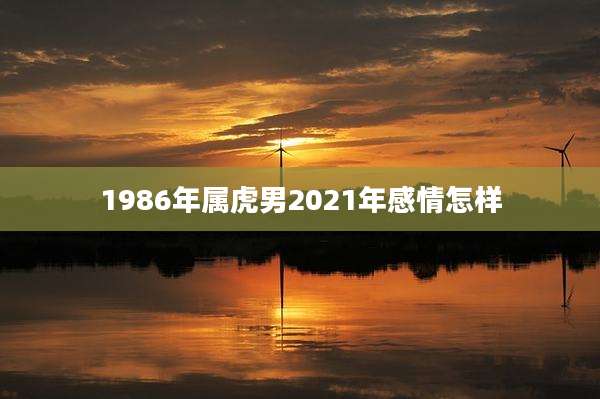 1986年属虎男2021年感情怎样