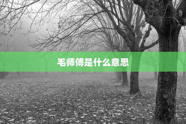毛师傅是什么意思