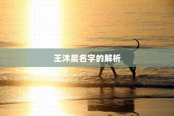 王沐晨名字的解析